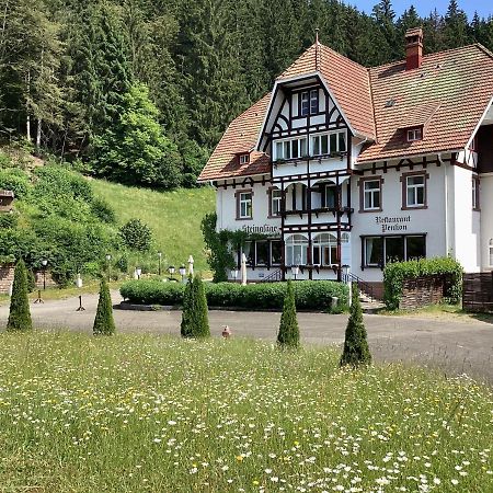 Hotel B&B Steinasaege ボンドルフ・イム・シュヴァルツヴァルト エクステリア 写真