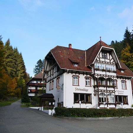 Hotel B&B Steinasaege ボンドルフ・イム・シュヴァルツヴァルト エクステリア 写真